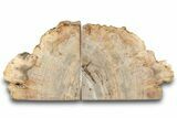 Petrified Wood (Tropical Hardwood) Bookends - Indonesia #266198-1
